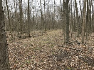 Property photo 37 - LAND AUCTION - 156.63+/- ACRES OFFERED IN 7 TRACTS IN ALLEN COUNTY, INDIANA